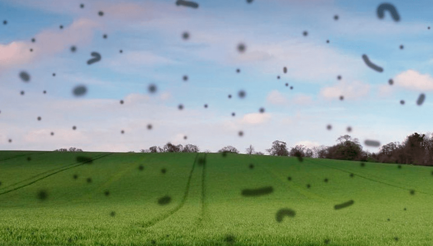 Чем грозит деструкция стекловидного тела?